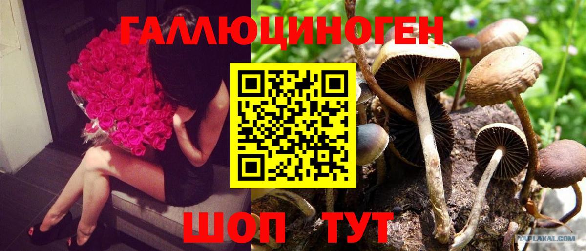 Галлюциногенные грибы прущие грибы Новокузнецк