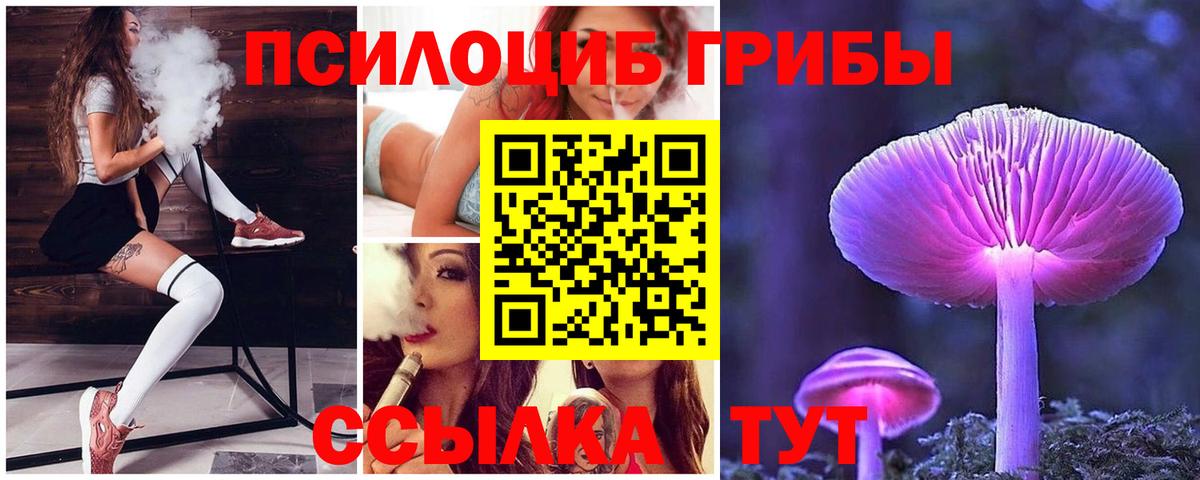 Новокузнецк  Псилоцибиновые грибы ЛСД  Вход с VPN 